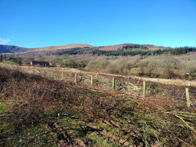 Farmers have restore traditional hedgerows to enhance wildlife corridors in Bannau Brycheiniog