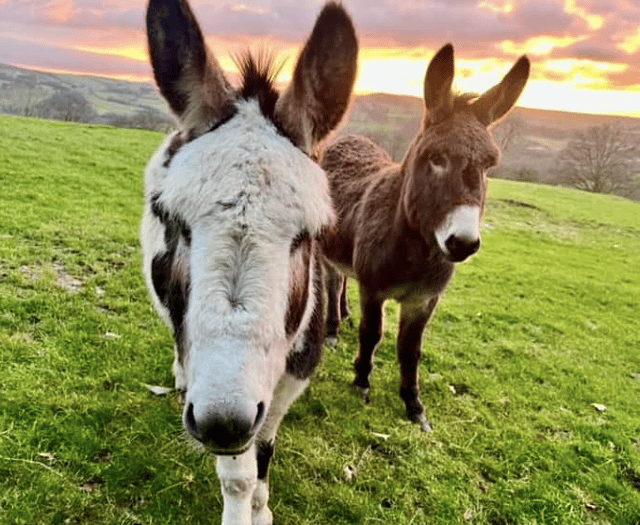 Picture This: Readers' animal photography!