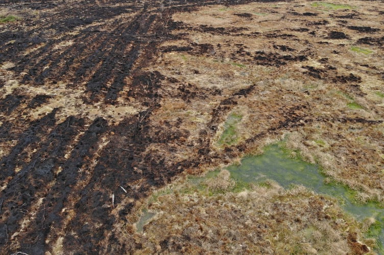 Rewetted peatland at Llyn Gorast acted as a natural firebreak
