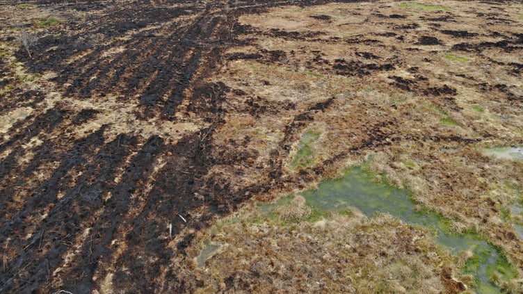 Rewetted peatland at Llyn Gorast acted as a natural firebreak