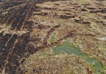 Restored peatlands halt wildfire spread