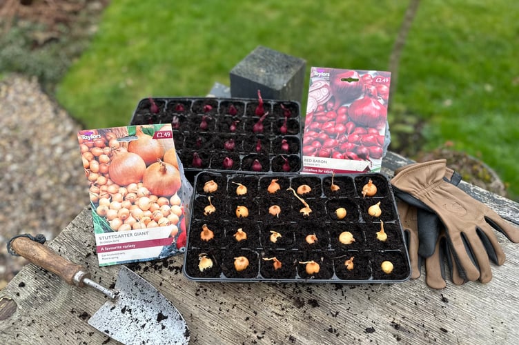 Sowing seeds now sets the stage for a bountiful summer harvest.