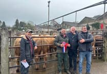 Morris tops spring show at Knighton