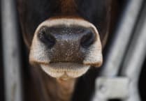 Brecon and Radnor farmers advised to heighten biosecurity measures