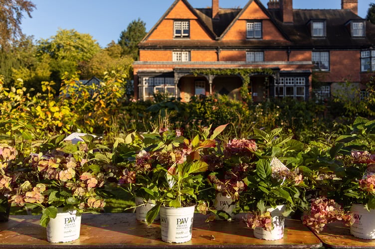 Hergest Croft Gardens, Kington 
