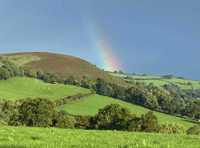 Video: Readers' green photography!