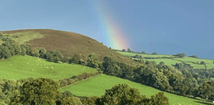 Video: Readers' green photography!