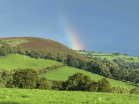 Video: Readers' green photography!