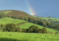 Video: Readers' green photography!