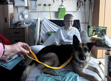 Brecon boy to swims 111 miles to fund wheelchair transformation