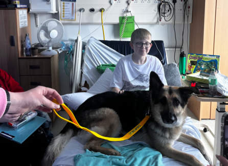 Brecon boy to swims 111 miles to fund wheelchair transformation