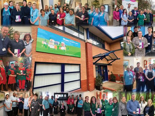 Five years of staff ownership for Shaw