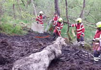 Fire crews rescue 800kg bull from bog near Brecon