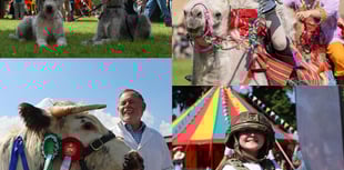 Royal Welsh Spring Festival unveils exciting weekend programme