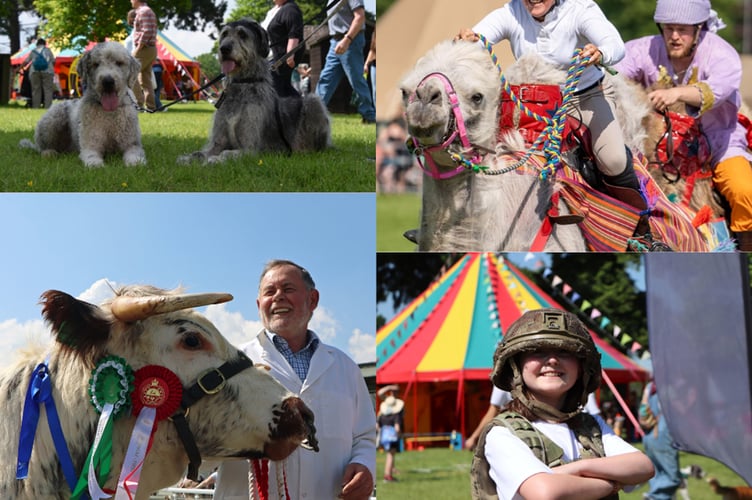 A activity-packed weekend awaits visitors to the Royal Welsh Spring Festival this weekend