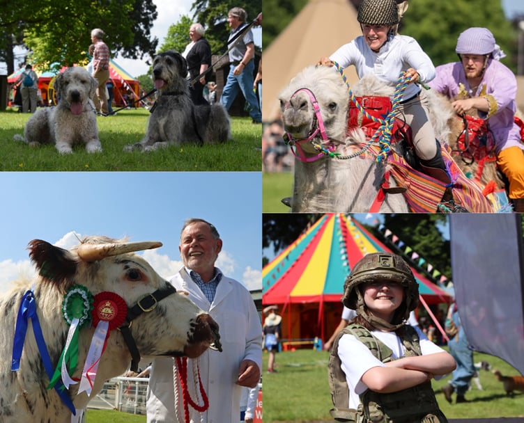 A activity-packed weekend awaits visitors to the Royal Welsh Spring Festival this weekend