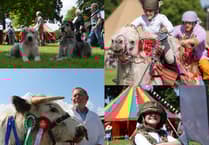 What's in store at the Royal Welsh Spring Festival this weekend?