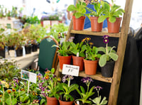 Farming Connect to offer support and advice at Spring Festival