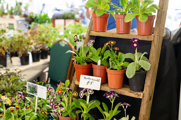 Farming Connect will be at the Royal Welsh Showground for the Spring Festival this weekend