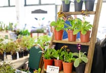 Farming Connect to offer support and advice at Spring Festival