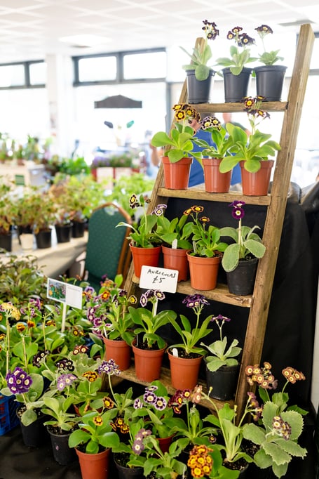 Farming Connect will be at the Royal Welsh Showground for the Spring Festival this weekend
