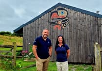 Wellsynergy Retreat a transformative experience in the Welsh countryside