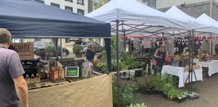 The Great Big Green Week comes to Llandovery