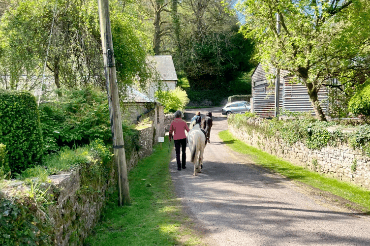 Guests enjoyed gentle horse walks across Penpont