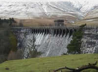 Police investigate after dog attacks sheep near reservoir