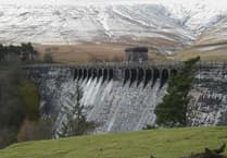 Police investigate after dog attacks sheep near reservoir