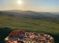 First signs of summer: Stunning photography