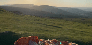 First signs of summer: Stunning photography