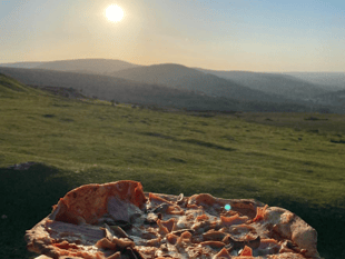 First signs of summer: Stunning photography