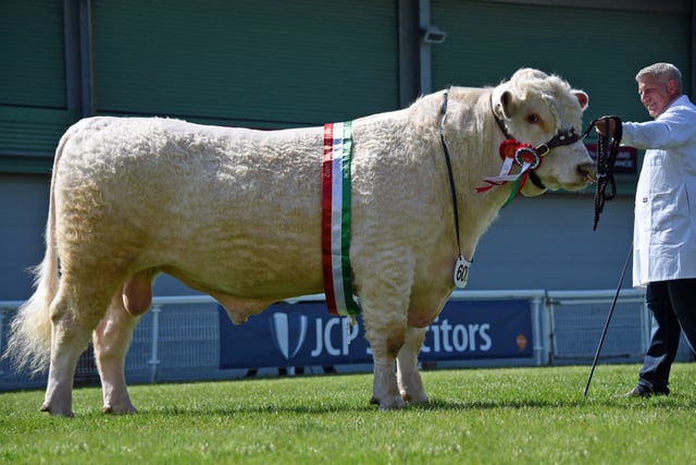 Record crowds flock to Royal Welsh Spring Festival at Llanelwedd