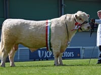 Record crowds flock to Royal Welsh Spring Festival at Llanelwedd