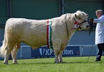 Who won what at this year’s Spring Festival?