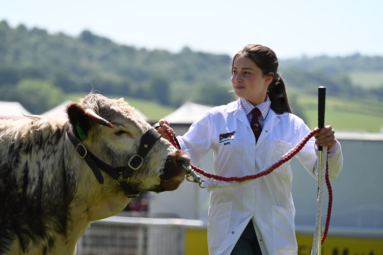 Molly Edwards of Carmarthenshire, awarded Cattle Young Handler