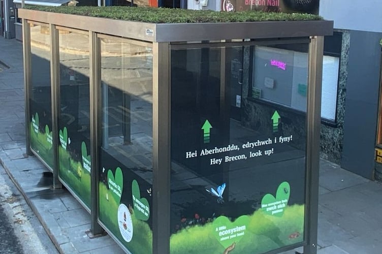 The new living roof bus shelter on the Bulwark in Brecon
