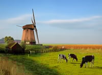 Welsh vets and farmers offered AMR study tour to Netherlands