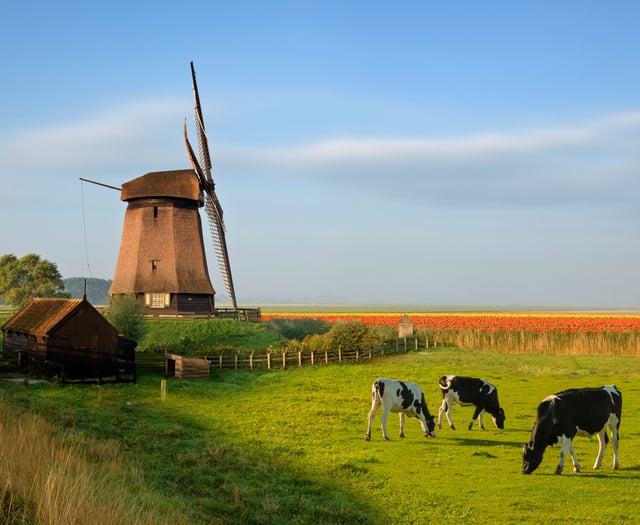 Welsh vets and farmers offered AMR study tour to Netherlands