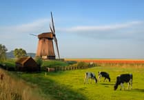 Welsh vets and farmers offered AMR study tour to Netherlands