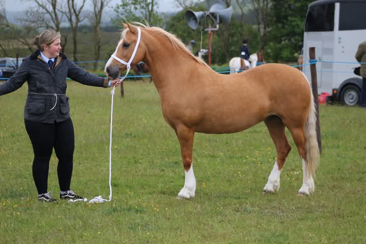 Competitions drew strong entries once again this year, especially the horse and jumping sections 