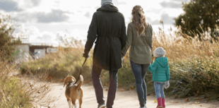 Nearly one in five children in Wales bitten by a pet, says RSPCA