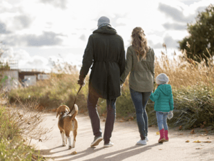 Nearly one in five children in Wales bitten by a pet, says RSPCA