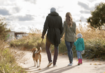 Nearly one in five children in Wales bitten by a pet, says RSPCA