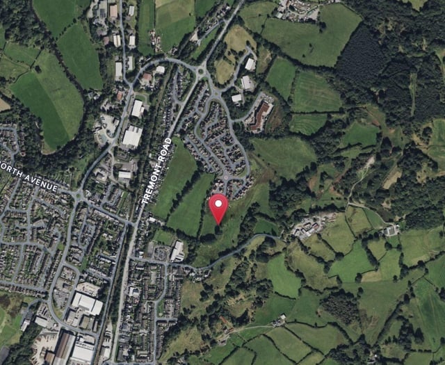 Plans for 122 homes in Llandrindod Wells go live