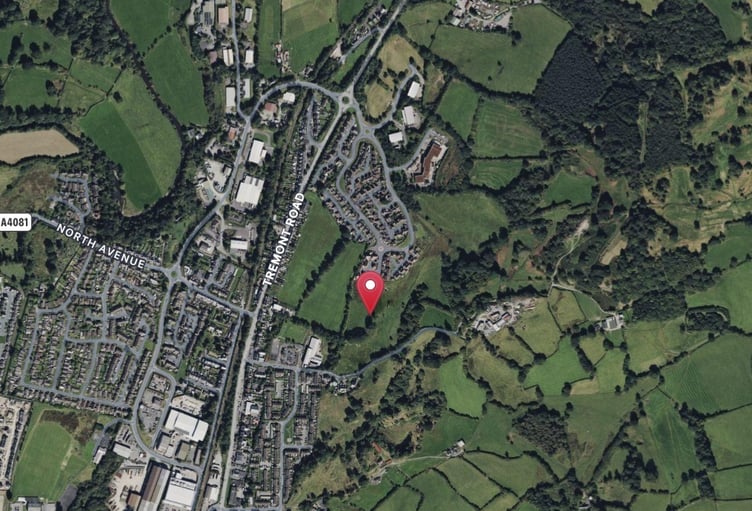 A satellite image showing the site in Llandrindod Wells where 122 houses could be built