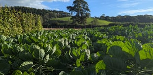 Scheme aims to boost next generation of growers