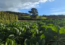 Scheme aims to boost next generation of growers