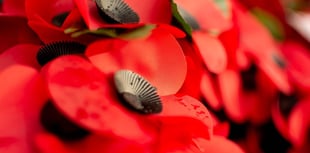 Powys residents urged to wear poppies with pride